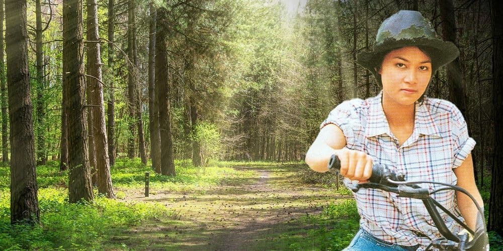 ฉากหลังจากละคร นางแมวป่า (2544)