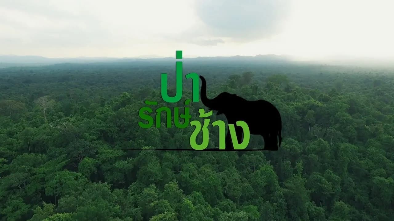 โปสเตอร์ละคร ป่ารักษ์ช้าง ใช้เป็นพื้นหลัง