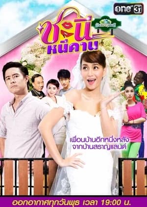 โปสเตอร์ละคร ชะนีหนีคาน ใช้เป็นพื้นหลัง