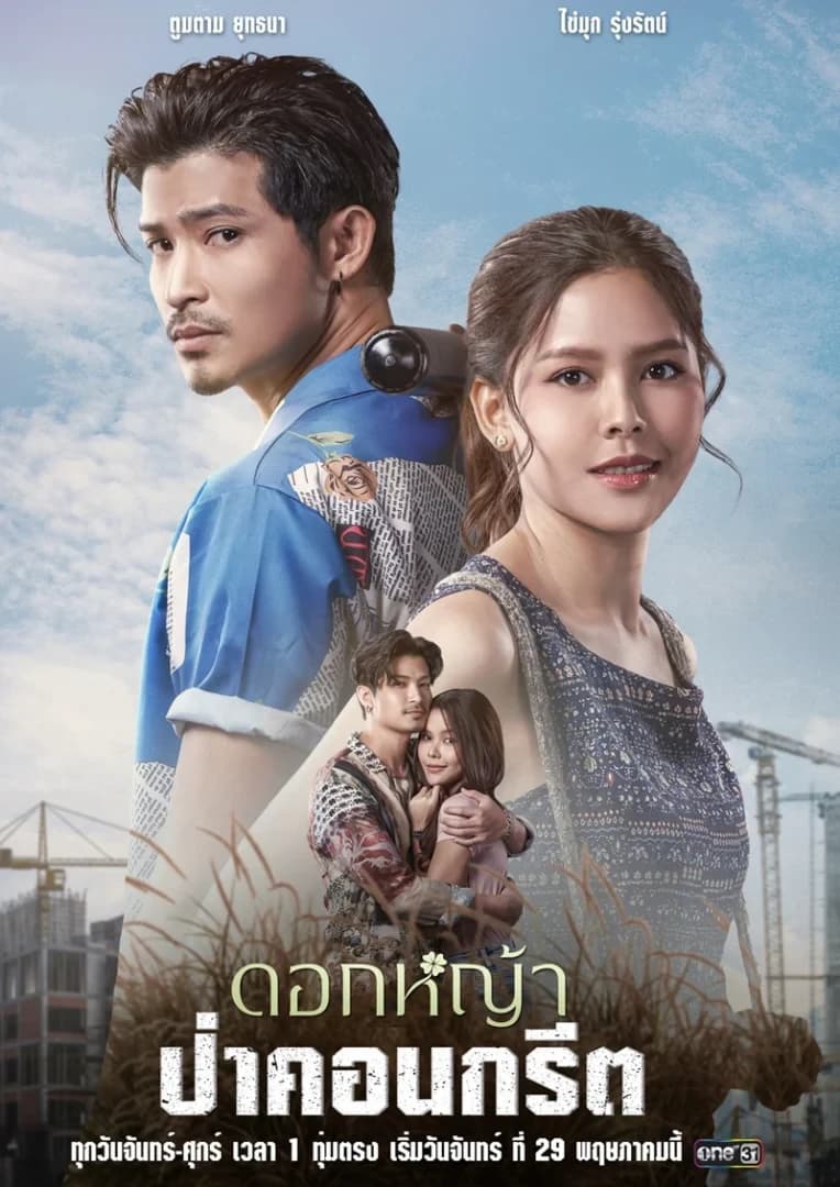 โปสเตอร์ละคร ดอกหญ้าป่าคอนกรีต (2566) - Thai Content DB