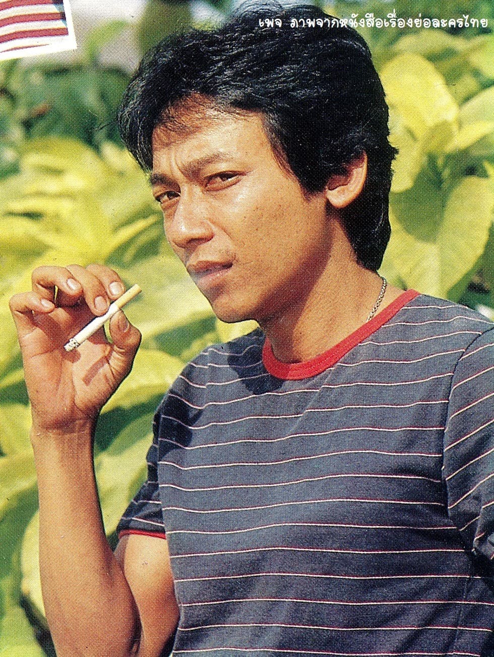 โปสเตอร์ละคร เสื้อสีฝุ่น ใช้เป็นพื้นหลัง