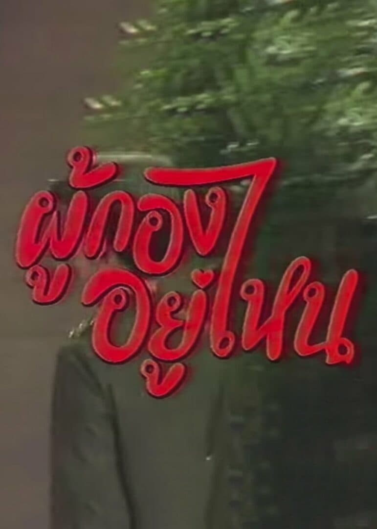 โปสเตอร์ละคร ผู้กองอยู่ไหน ใช้เป็นพื้นหลัง