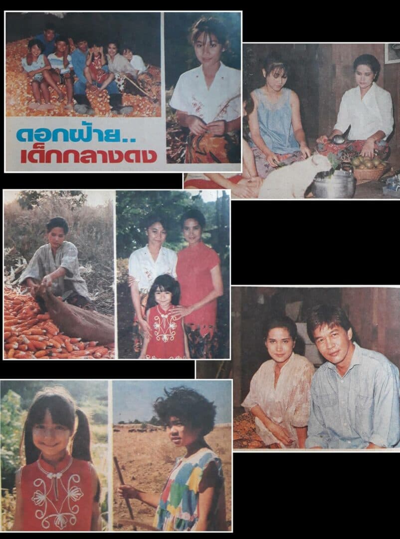 โปสเตอร์ละคร ดอกฝ้ายเด็กกลางดง ใช้เป็นพื้นหลัง