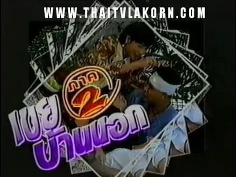 โปสเตอร์ละคร เขยบ้านนอก ภาค 2 ใช้เป็นพื้นหลัง