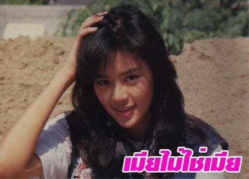 โปสเตอร์ละคร เมียไม่ใช่เมีย ใช้เป็นพื้นหลัง