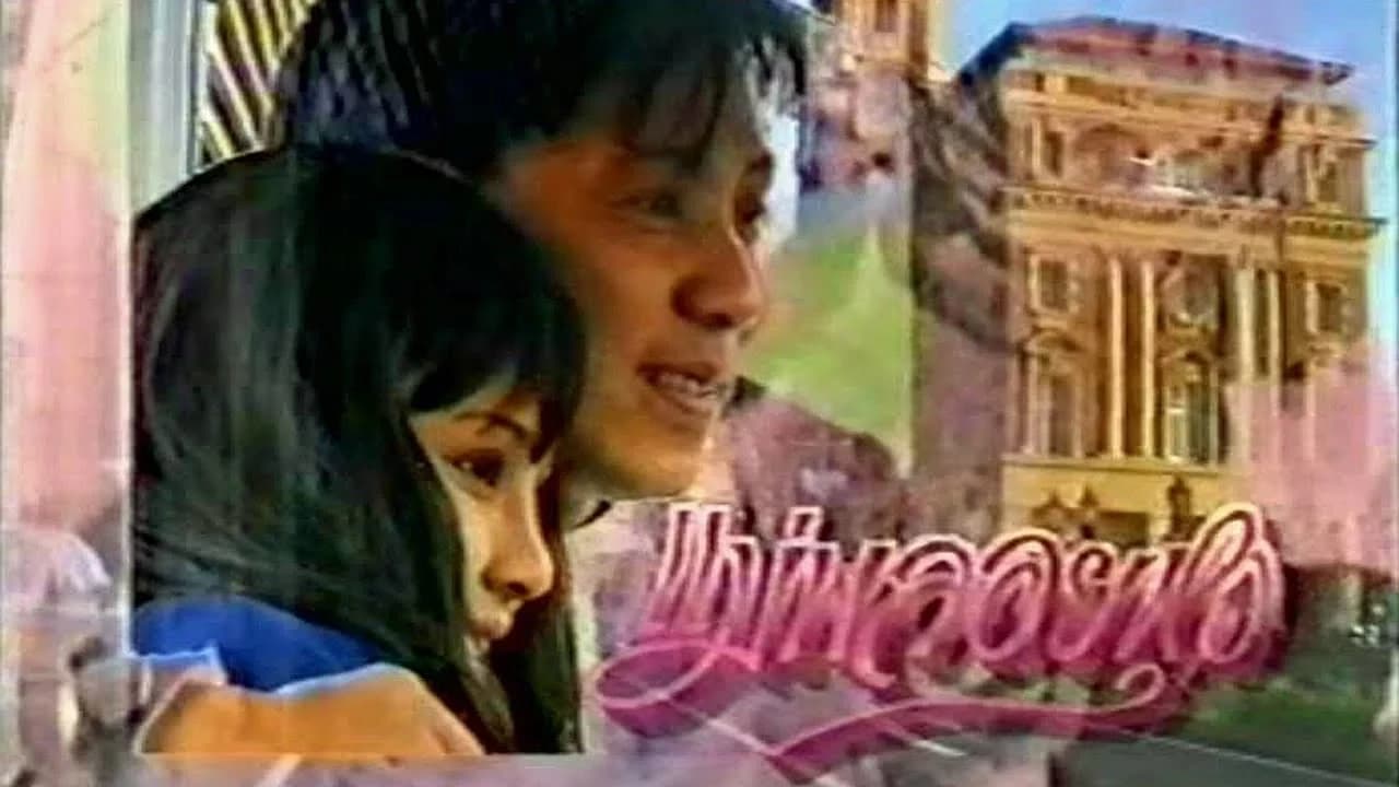 โปสเตอร์ละคร แม่พลอยหุง ใช้เป็นพื้นหลัง