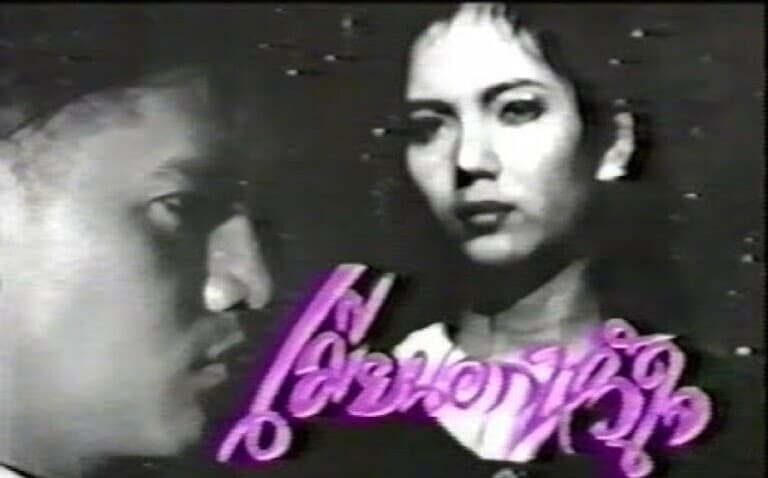 โปสเตอร์ละคร เมียนอกหัวใจ ใช้เป็นพื้นหลัง