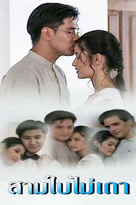 โปสเตอร์ละคร สามใบไม่เถา ใช้เป็นพื้นหลัง