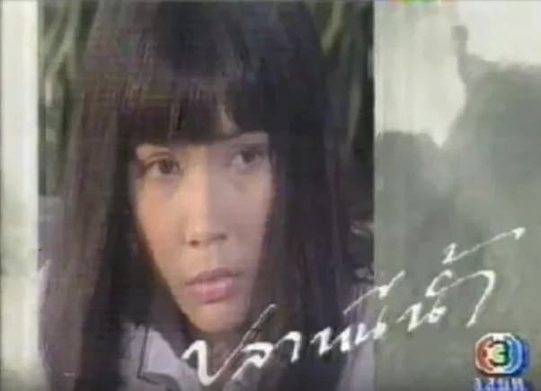 โปสเตอร์ละคร ปลาหนีน้ำ ใช้เป็นพื้นหลัง