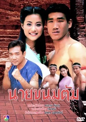 โปสเตอร์ละคร นายขนมต้ม ใช้เป็นพื้นหลัง