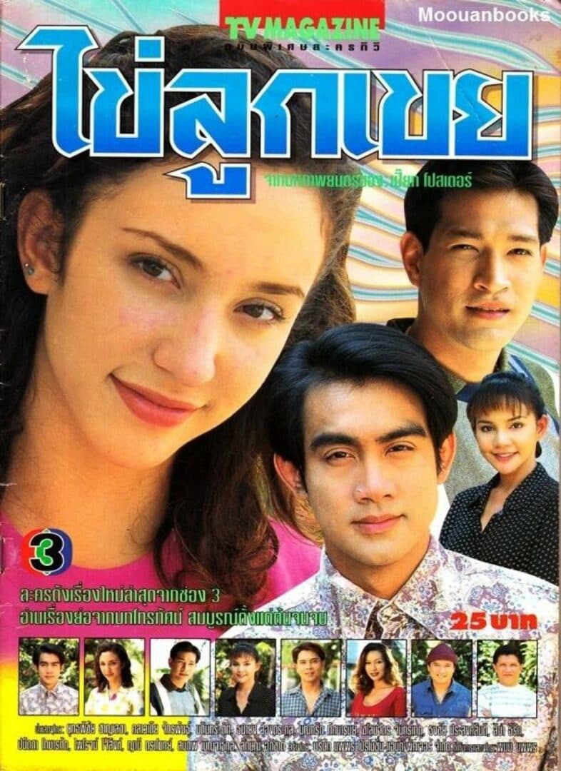 โปสเตอร์ละคร ไข่ลูกเขย ใช้เป็นพื้นหลัง