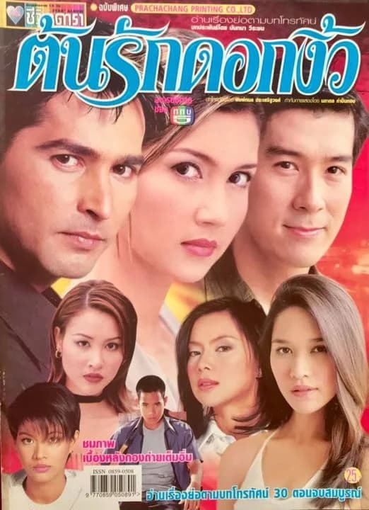 โปสเตอร์ละคร ต้นรักดอกงิ้ว ใช้เป็นพื้นหลัง