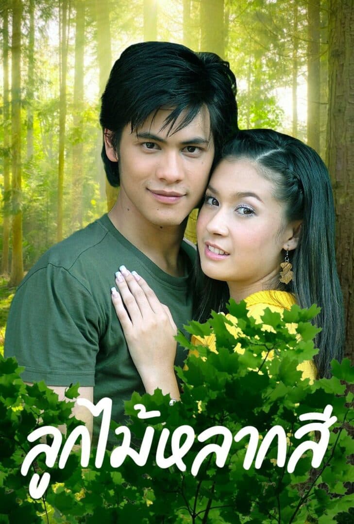 โปสเตอร์ละคร ลูกไม้หลากสี ใช้เป็นพื้นหลัง