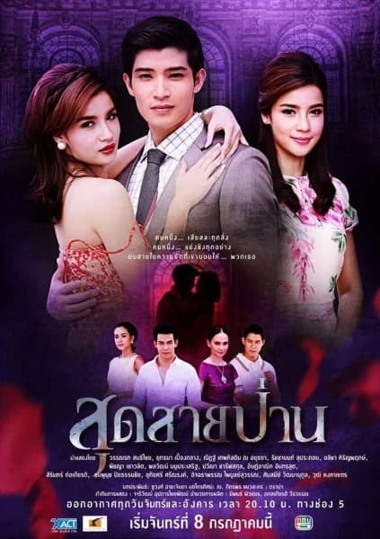 โปสเตอร์ละคร สุดสายป่าน ใช้เป็นพื้นหลัง