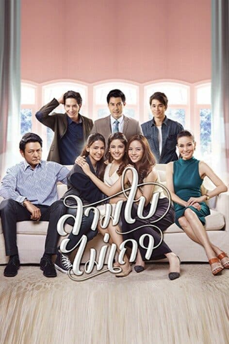 โปสเตอร์ละคร สามใบไม่เถา ใช้เป็นพื้นหลัง