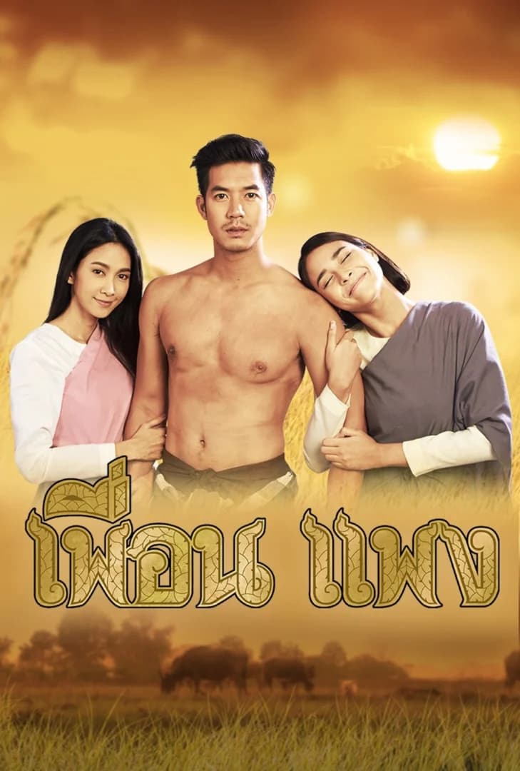 โปสเตอร์ละคร เพื่อน-แพง ใช้เป็นพื้นหลัง