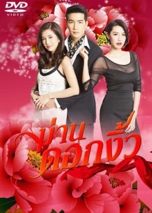 โปสเตอร์ละคร ม่านดอกงิ้ว ใช้เป็นพื้นหลัง