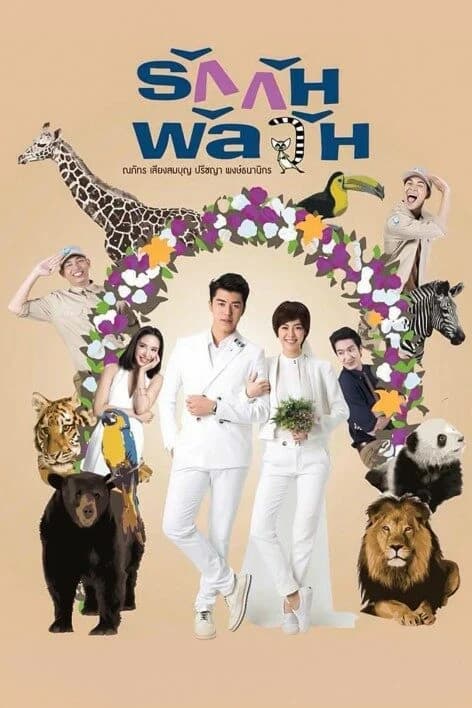 โปสเตอร์ละคร รักกันพัลวัน ใช้เป็นพื้นหลัง