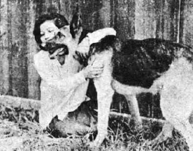 โปสเตอร์ภาพยนตร์ แสงมหาพินาศ ใช้เป็นพื้นหลัง