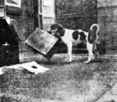 โปสเตอร์ภาพยนตร์ จ๊ะเอ๋ ใช้เป็นพื้นหลัง