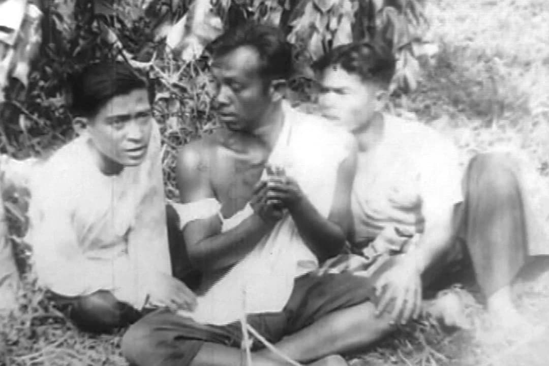 โปสเตอร์ภาพยนตร์ พรายตะเคียน ใช้เป็นพื้นหลัง