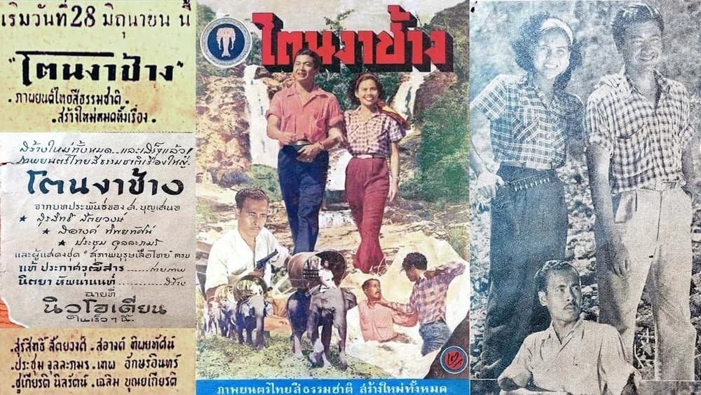 โปสเตอร์ภาพยนตร์ โตนงาช้าง ใช้เป็นพื้นหลัง