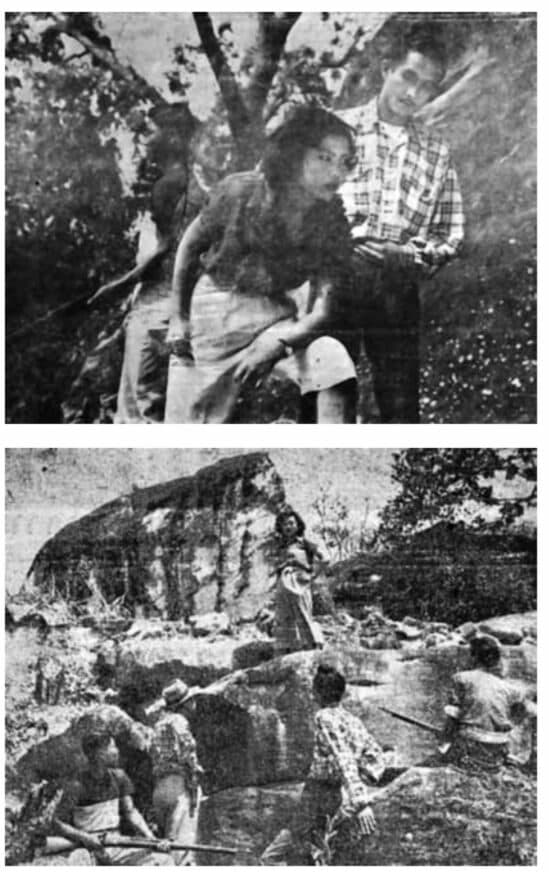 โปสเตอร์ภาพยนตร์ ฤกษ์โจร ใช้เป็นพื้นหลัง