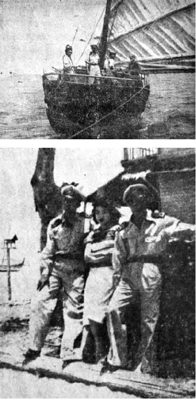 โปสเตอร์ภาพยนตร์ พรานนาวี ใช้เป็นพื้นหลัง