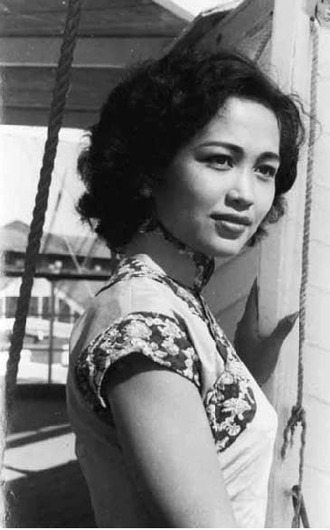 โปสเตอร์ภาพยนตร์ หลีหวั่น ใช้เป็นพื้นหลัง