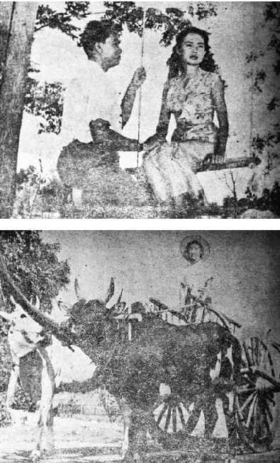 โปสเตอร์ภาพยนตร์ ยอดดรุณี ใช้เป็นพื้นหลัง