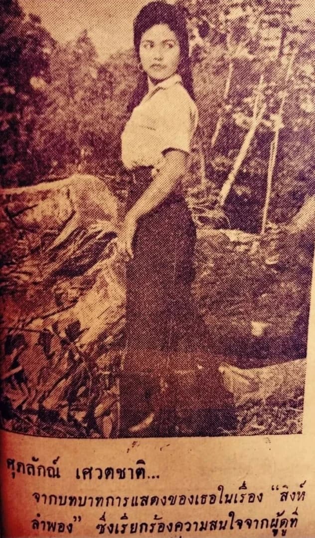 โปสเตอร์ภาพยนตร์ สิงห์ลำพอง ใช้เป็นพื้นหลัง