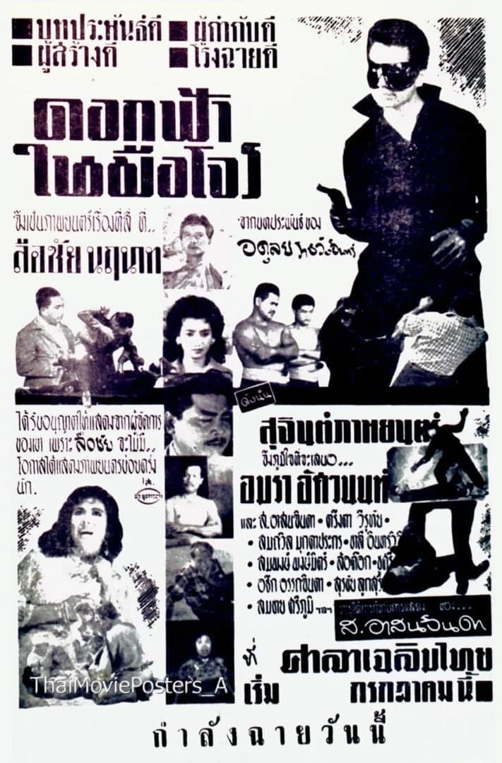 โปสเตอร์ภาพยนตร์ ดอกฟ้าในมือโจร ใช้เป็นพื้นหลัง