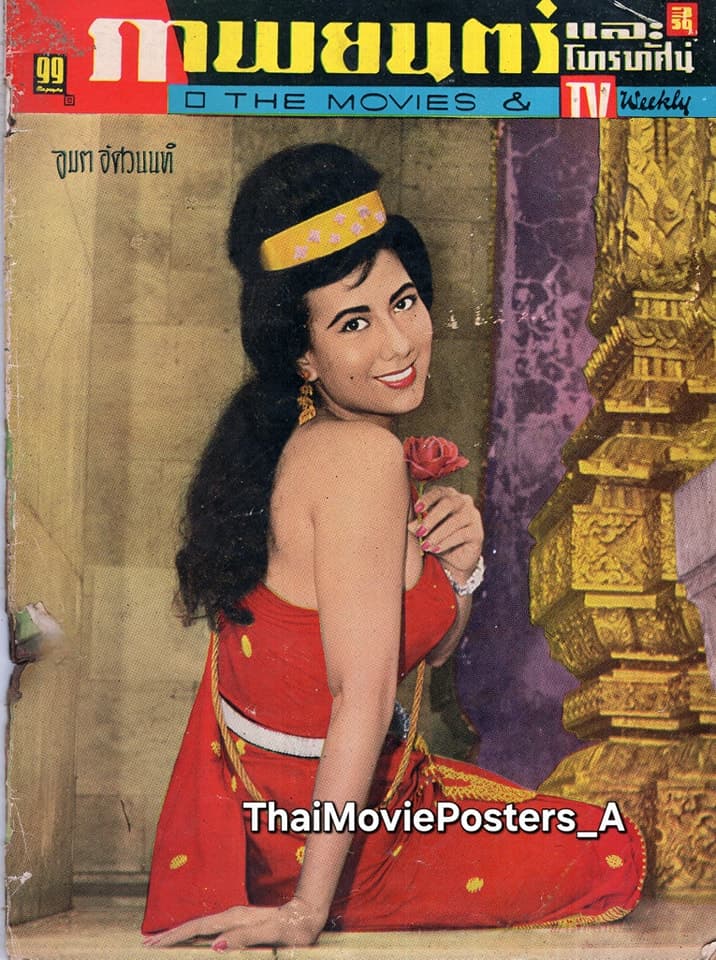 โปสเตอร์ภาพยนตร์ ดอกฟ้าฝาแฝด ใช้เป็นพื้นหลัง