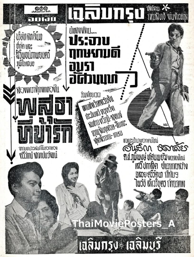 โปสเตอร์ภาพยนตร์ พสุธาที่ข้ารัก ใช้เป็นพื้นหลัง