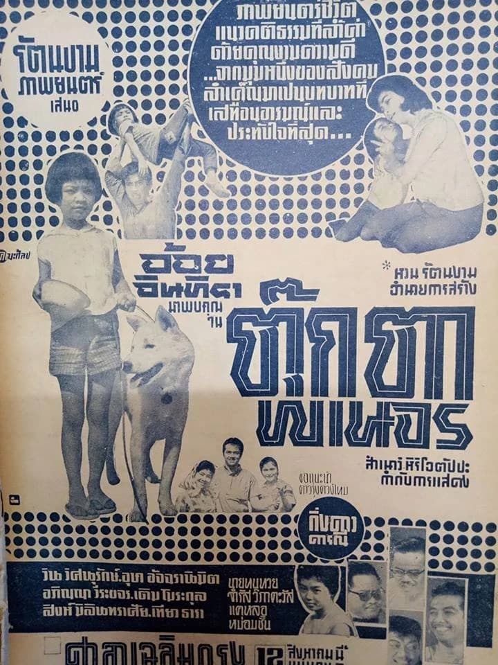 โปสเตอร์ภาพยนตร์ ตุ๊กตาพเนจร ใช้เป็นพื้นหลัง