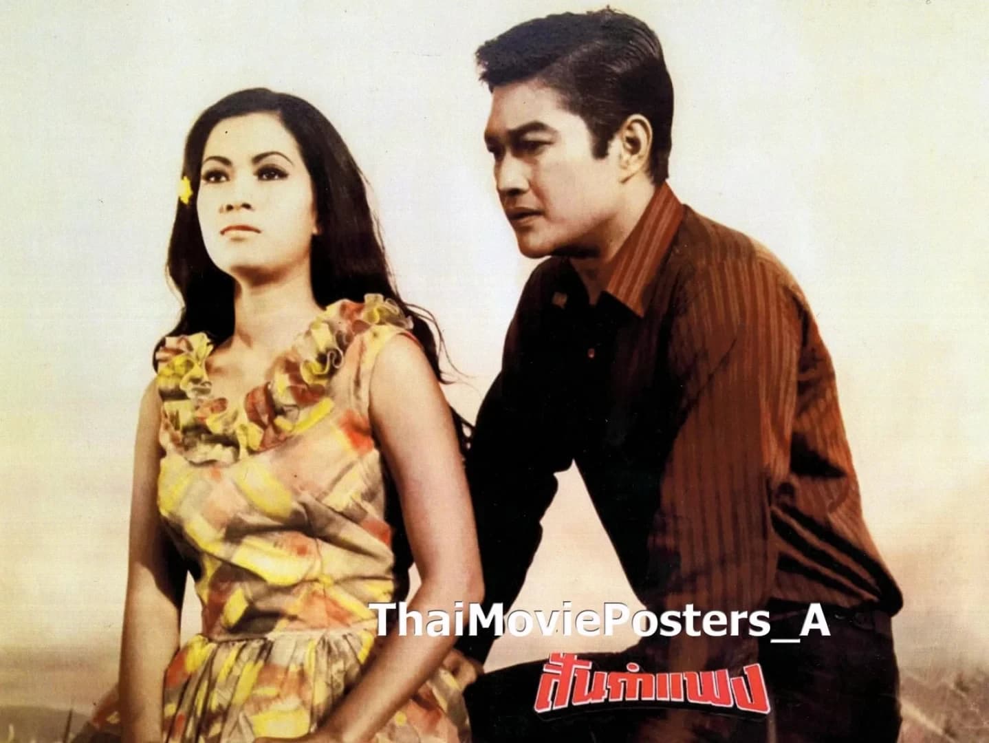 โปสเตอร์ภาพยนตร์ สันกำแพง ใช้เป็นพื้นหลัง