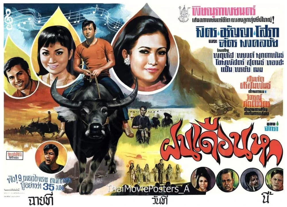 โปสเตอร์ภาพยนตร์ ฝนเดือนหก ใช้เป็นพื้นหลัง