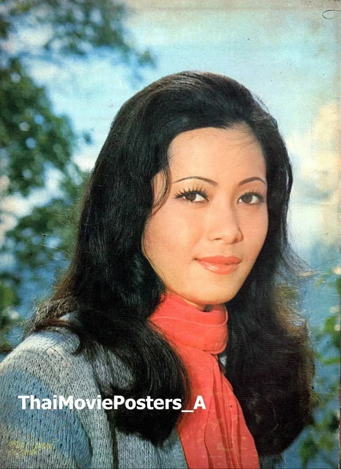 โปสเตอร์ภาพยนตร์ ภูกระดึง ใช้เป็นพื้นหลัง