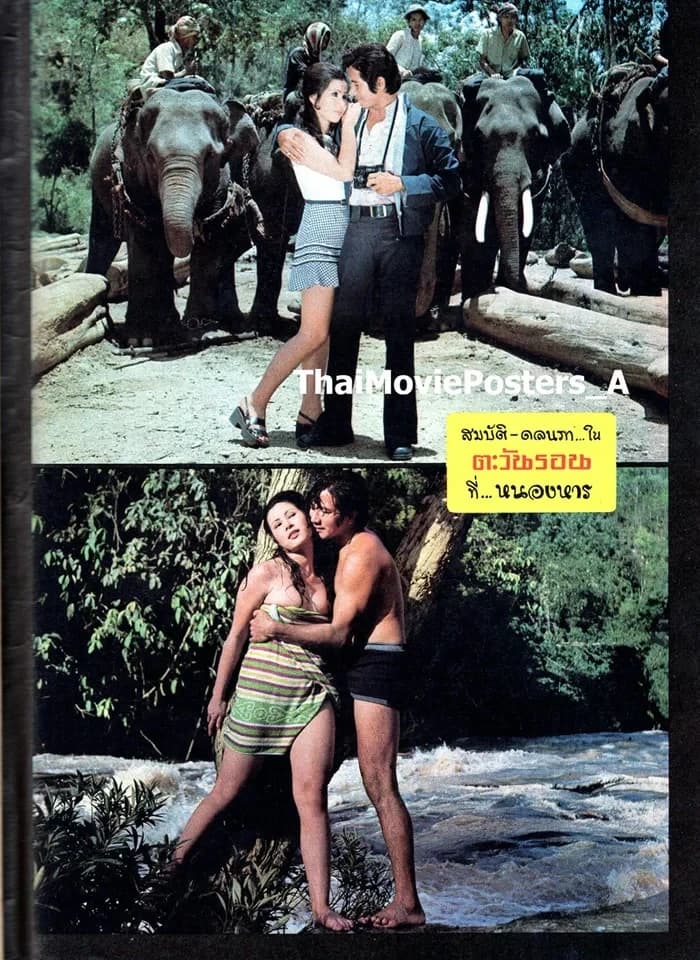 โปสเตอร์ภาพยนตร์ ตะวันรอนที่หนองหาร ใช้เป็นพื้นหลัง