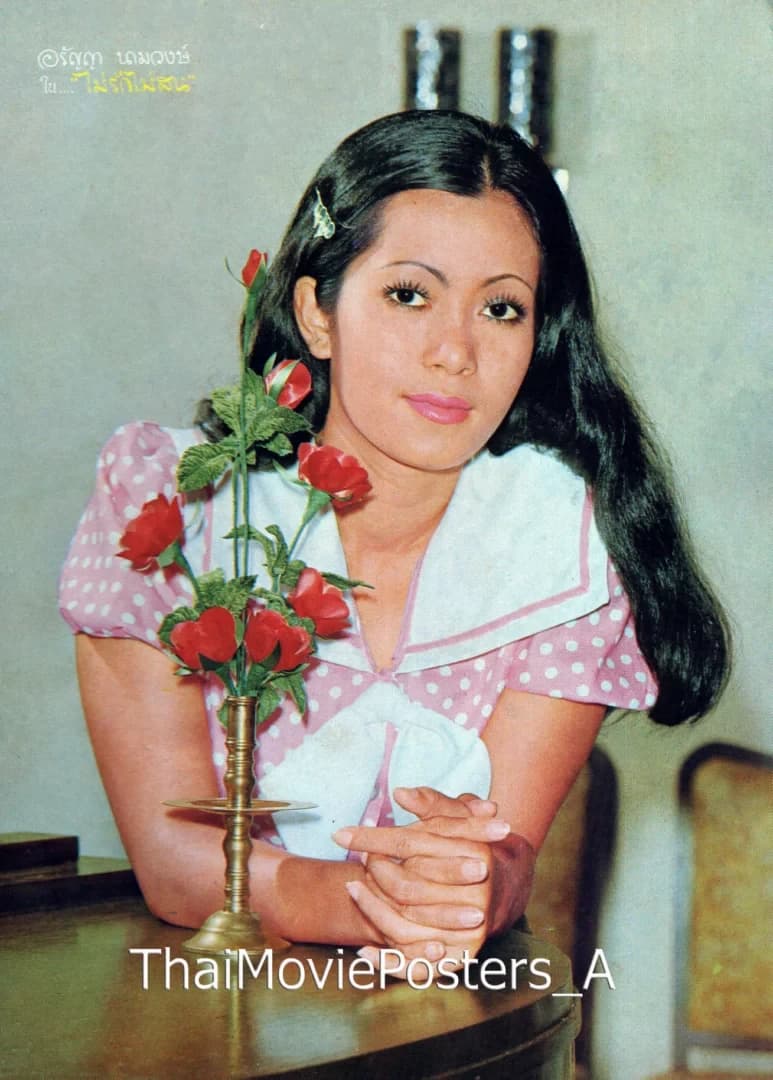 โปสเตอร์ภาพยนตร์ ไม่รักไม่สน ใช้เป็นพื้นหลัง