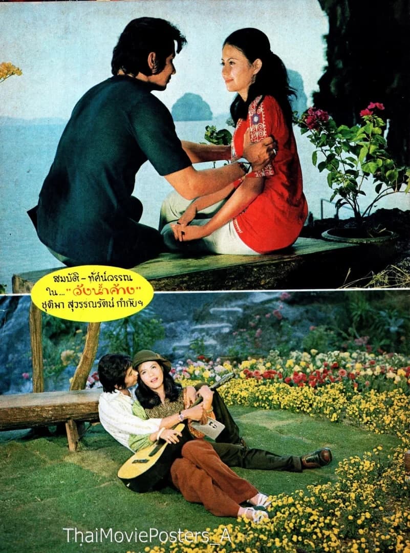 โปสเตอร์ภาพยนตร์ วังน้ำค้าง ใช้เป็นพื้นหลัง