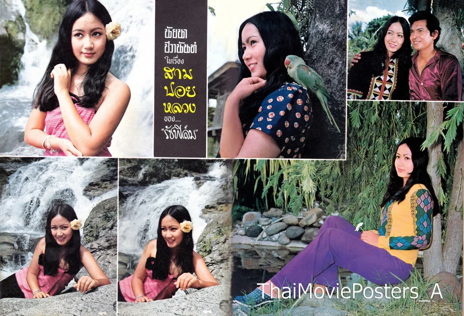 โปสเตอร์ภาพยนตร์ สามปอยหลวง ใช้เป็นพื้นหลัง