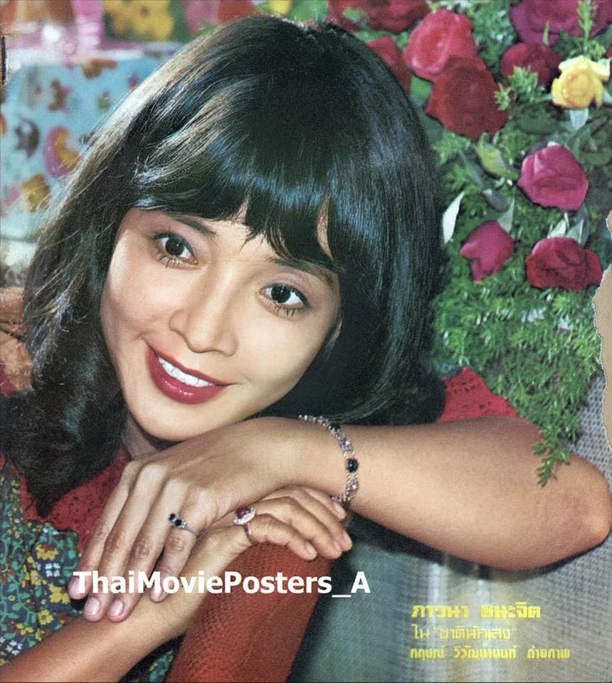 โปสเตอร์ภาพยนตร์ ชาตินักเลง ใช้เป็นพื้นหลัง