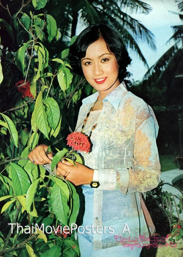 โปสเตอร์ภาพยนตร์ สายลับกระจับเหล็ก ใช้เป็นพื้นหลัง