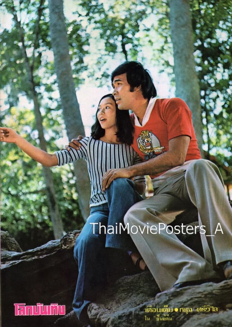 โปสเตอร์ภาพยนตร์ ปืนมีตีน ใช้เป็นพื้นหลัง