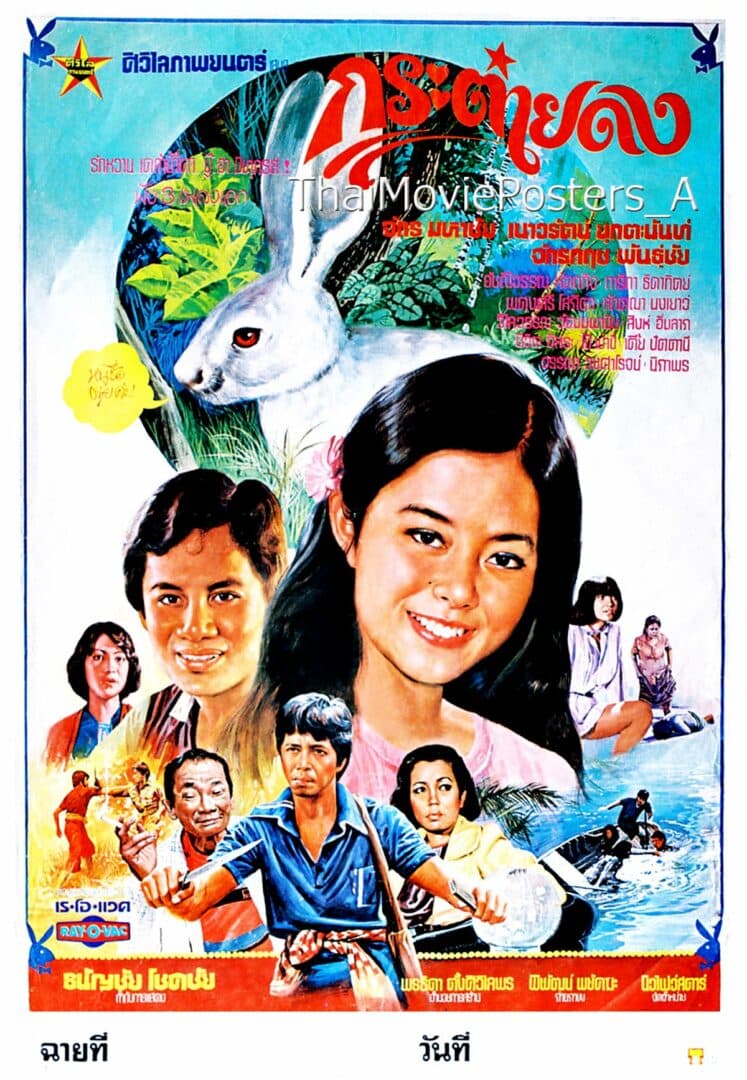 โปสเตอร์ภาพยนตร์ กระต่ายดง ใช้เป็นพื้นหลัง