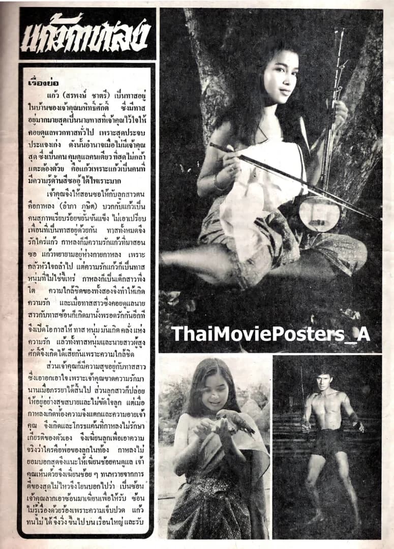 โปสเตอร์ภาพยนตร์ แก้วกาหลง ใช้เป็นพื้นหลัง