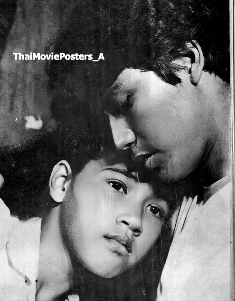 โปสเตอร์ภาพยนตร์ เด็ดหนวดพ่อตา ใช้เป็นพื้นหลัง