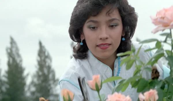 โปสเตอร์ภาพยนตร์ เจ้าสาวของอานนท์ ใช้เป็นพื้นหลัง