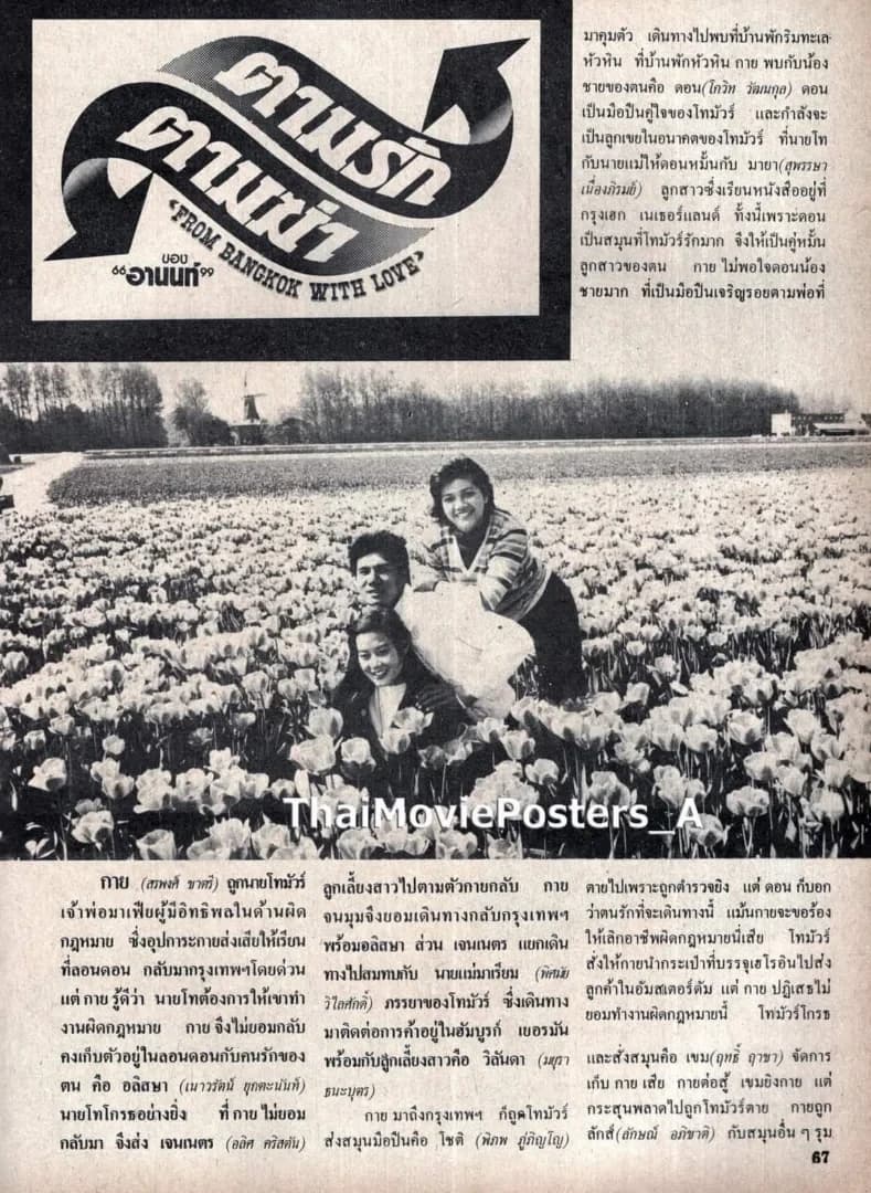 โปสเตอร์ภาพยนตร์ ตามรักตามฆ่า ใช้เป็นพื้นหลัง